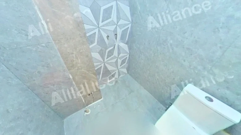 Dahua Longyue - View 6