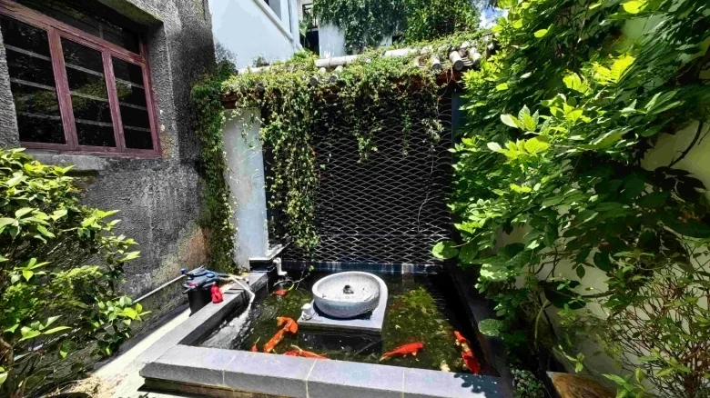 Wenmiao Direct Street - View 8