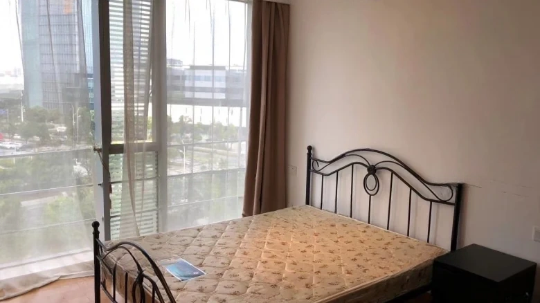 Zhongxin Xinghu Mansion - View 1