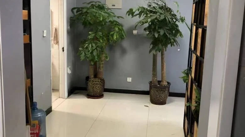 Peninsula International Jianhua City Plaza - View 5