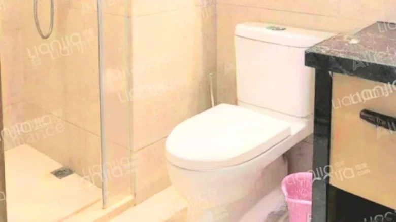 Haitang Central - View 6