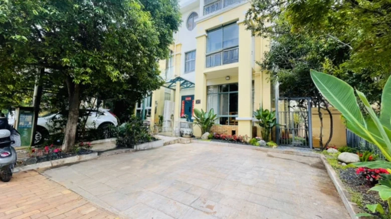 Dianchi Forest - View 5