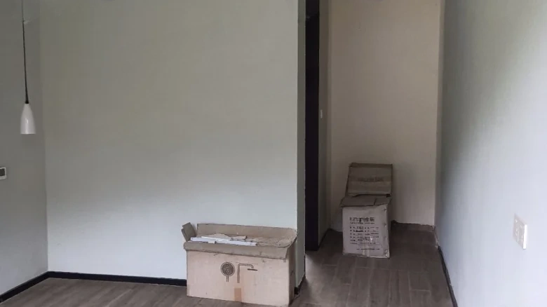 Ink Stream Lake - View 2