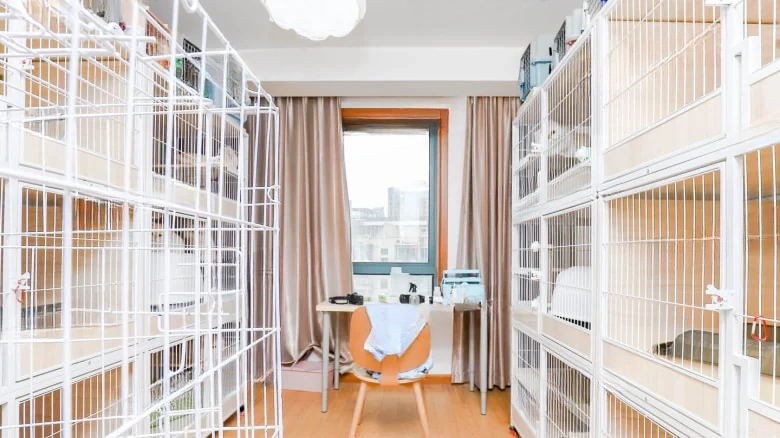 Shangda Jufengyuan Garden - View 2