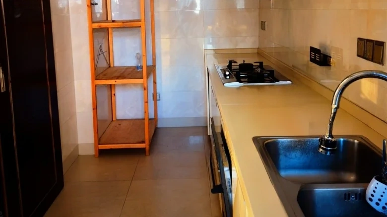 Chongqing Palmyra Spring International Center - View 8