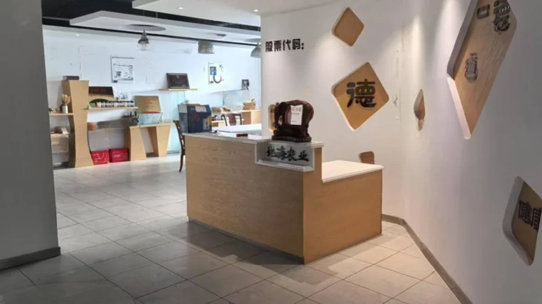 Daweifeng Dongyue East District - View 7