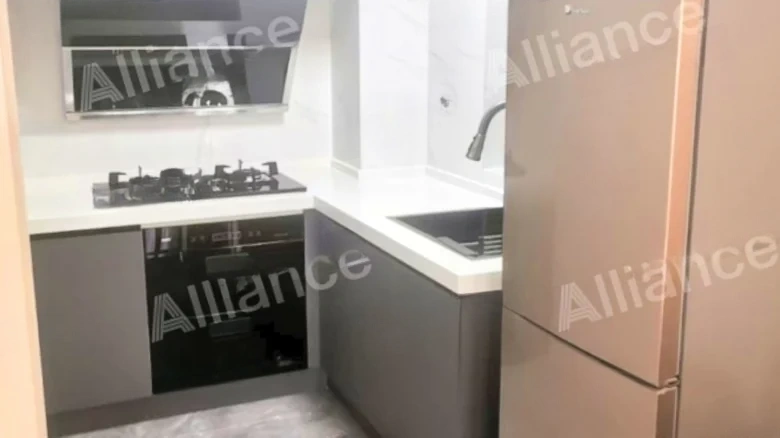 Zhongliang Lu Jinxi Garden - View 3