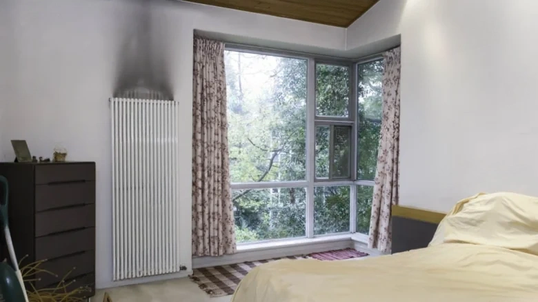 Jinlin Peninsula - View 7