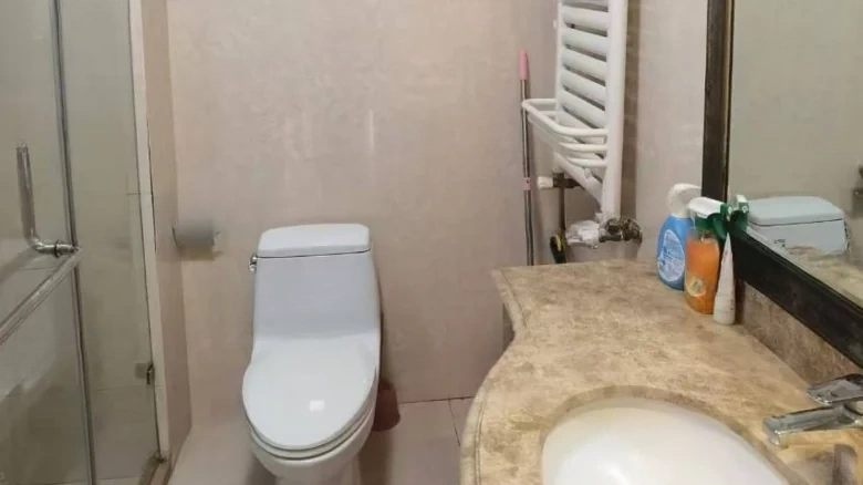 Luxin Hann Zhang Garden - View 13