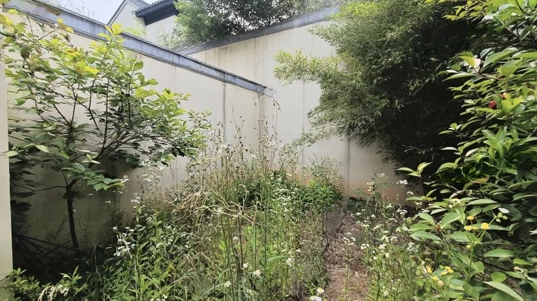 Ink Stream Lake - View 23