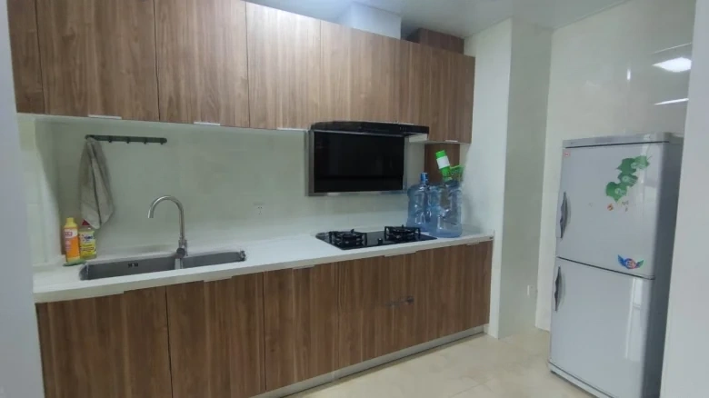 Swan Castle - View 6