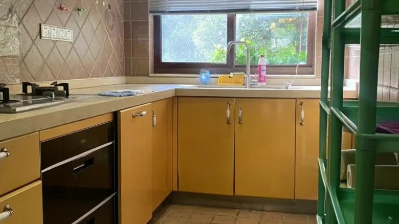 Jinyuan. Coconut View Blue Shore - View 5