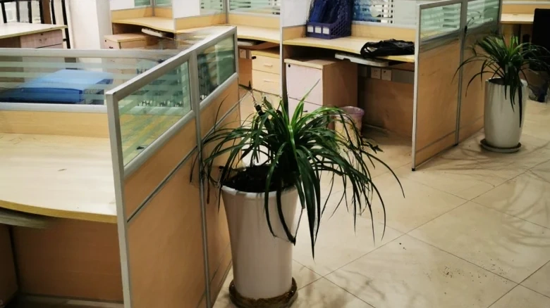 Joyful Purple Glory - View 9