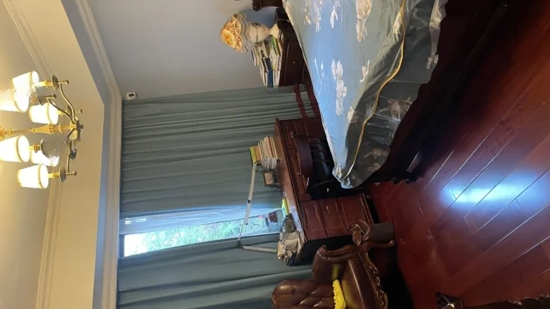 Fusion Technology Oakwood Lakefront - View 10