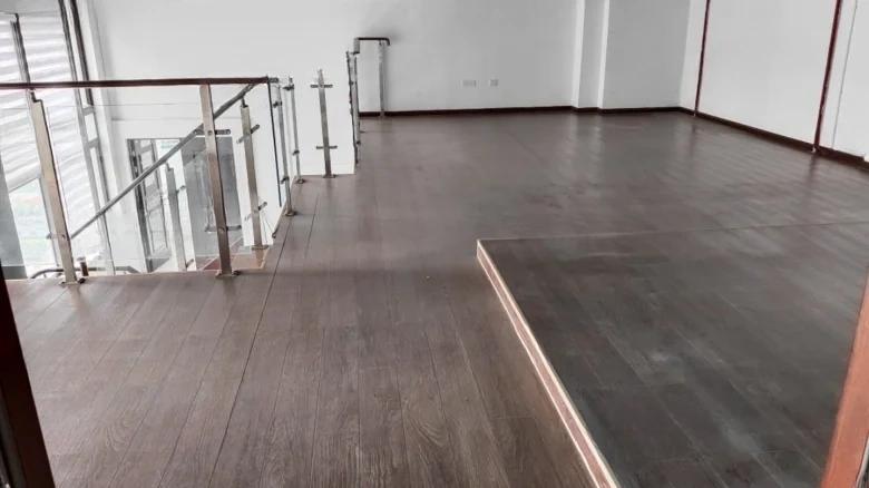 Great Metropolis - View 5