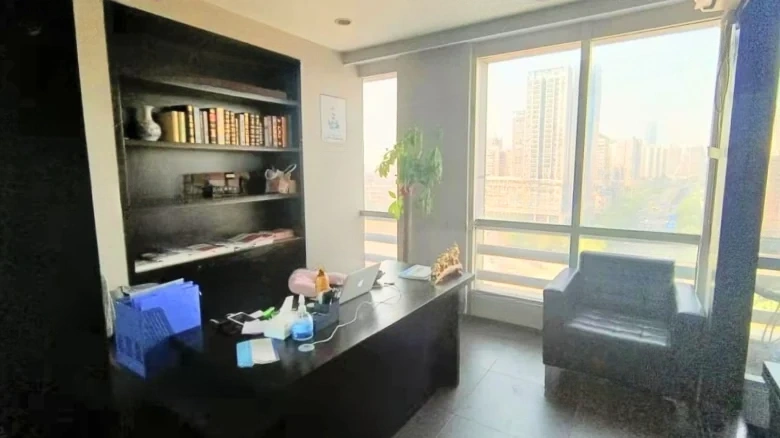 Honglin International - View 5