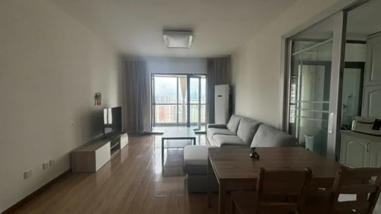 Shun Cheng Grand Apartment - View 5