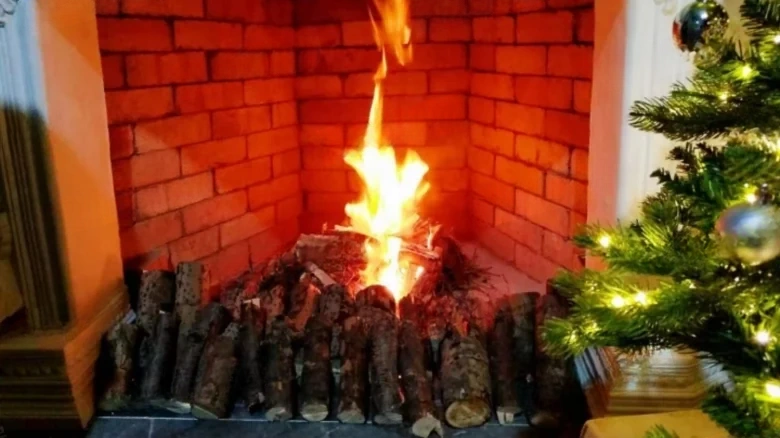 Rose Garden - View 6