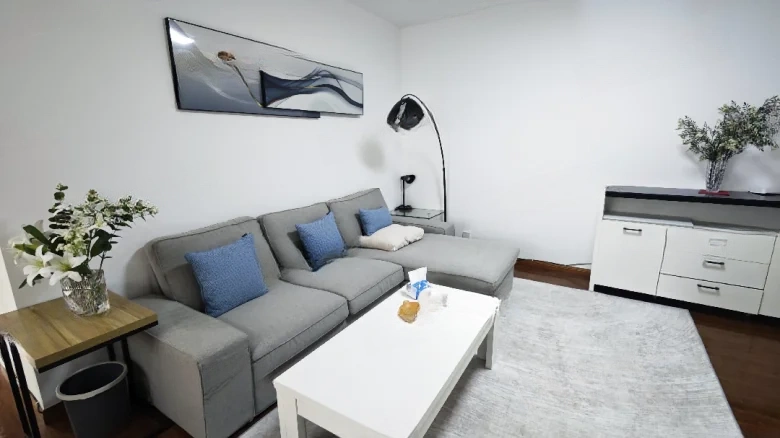 Zhongshan Apartment - View 3