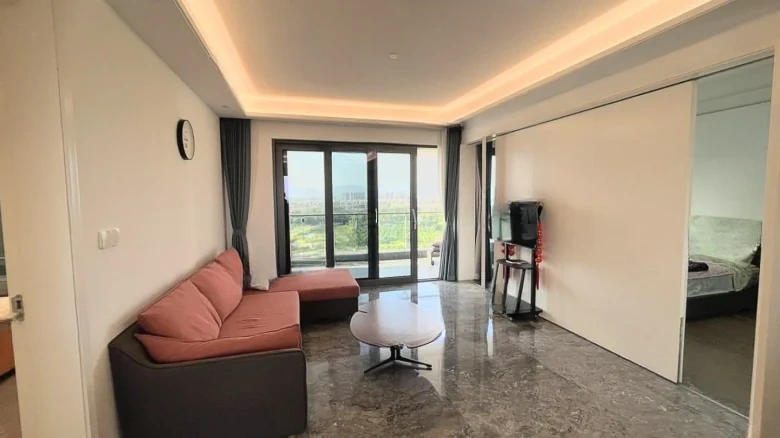 Art Hibiscus - View 1