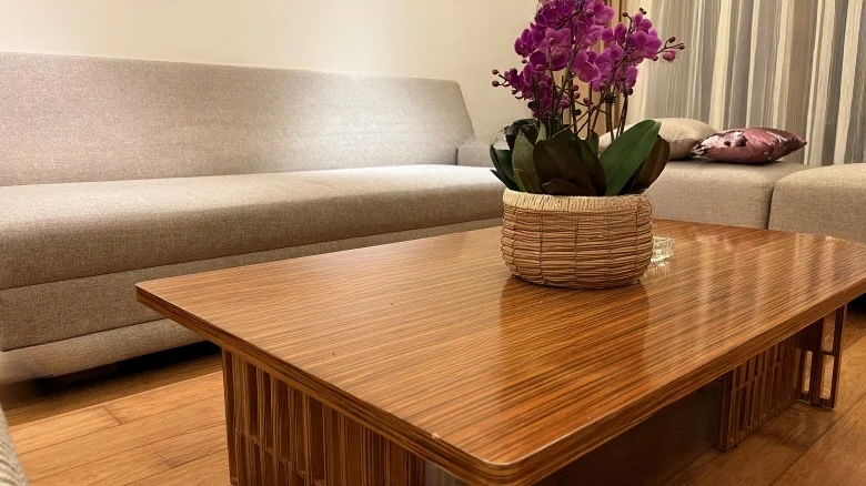 Half Mountain Peninsula - View 4