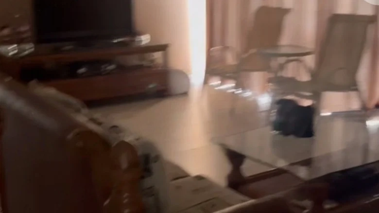 Nanjing Sea View Garden碧桂苑 would translate to Emerald Grove碧桂苑, assuming - View 5