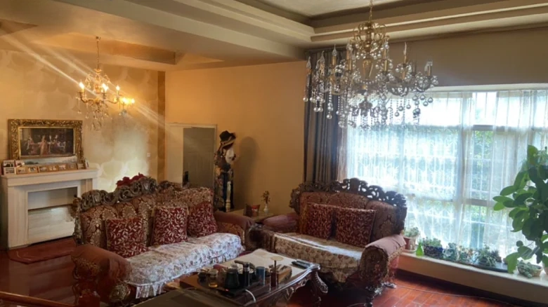 Liangchen Shuiyi Phase I - View 8