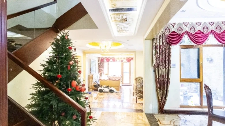 Lushang Imperial Dragon Bay - View 17