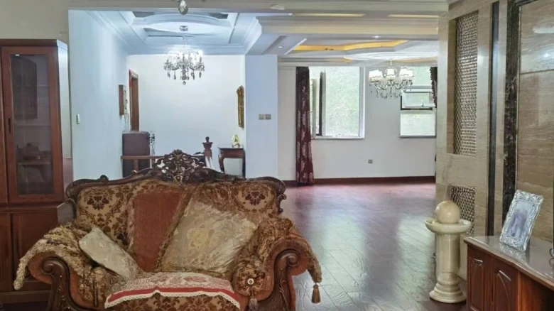 Nanhu One号 The '号' is typically left in Chinese as it can refer to a specific designation or number in a series, which doesn't have a direct equivalent in English. If an exact translation without characters is required, it would be - View 10