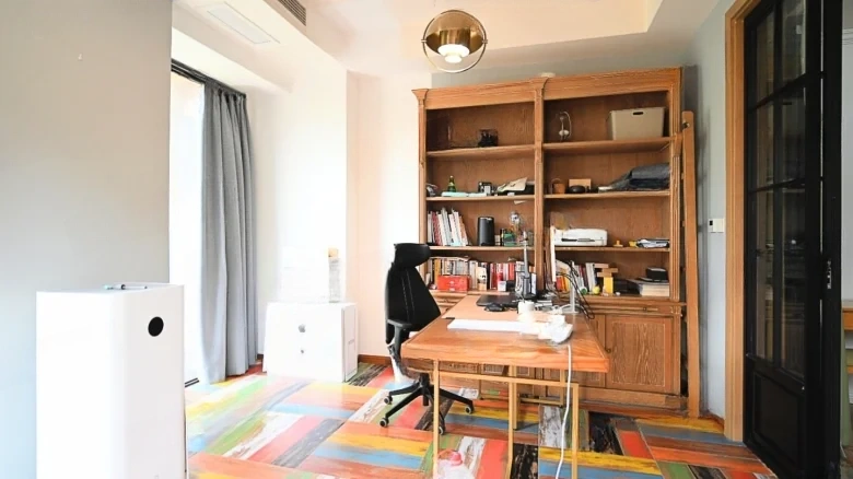 Magnificent Island Facing Two Rivers and Government Offices - View 12