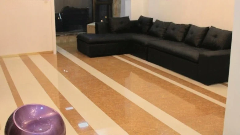 Shimao New Wulihu - View 4