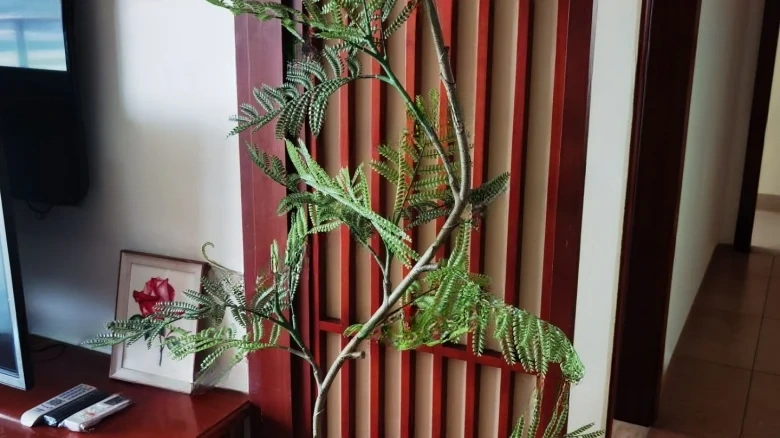 Beauty New Coastline - View 1