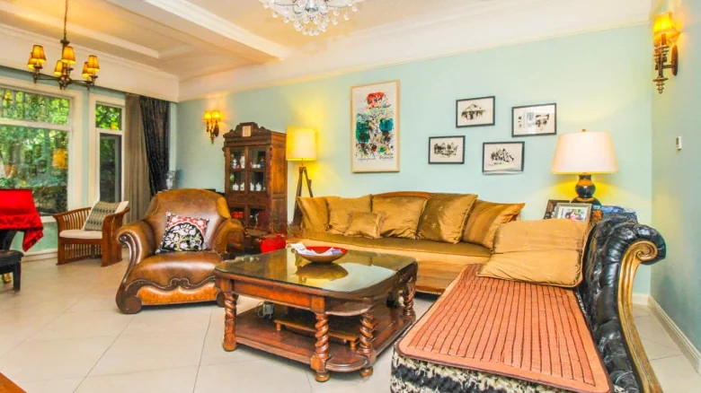 Ivy League Cultural Villa - View 5