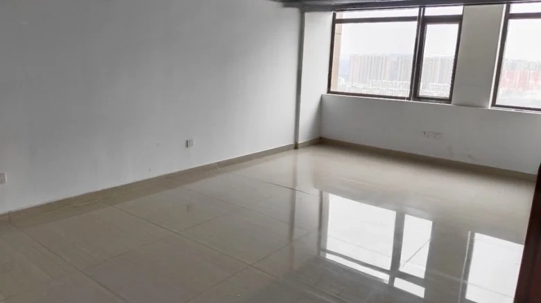 Great Metropolis - View 1