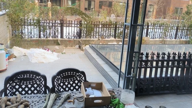 Buckingham Palace - View 14