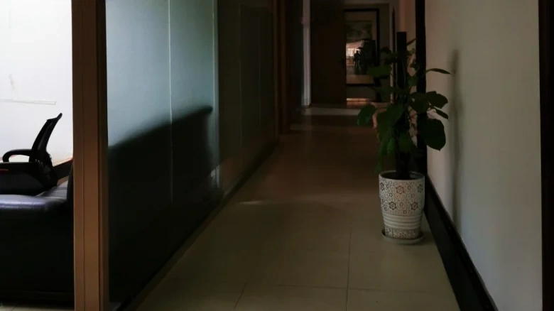 Joyful Purple Glory - View 7