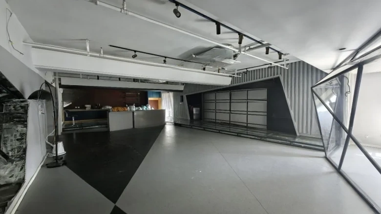 Camphor Tree Alanthus - View 1