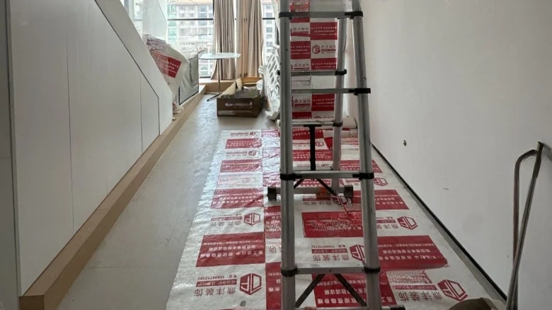 Cloud Seal · Joyful Seal - View 1