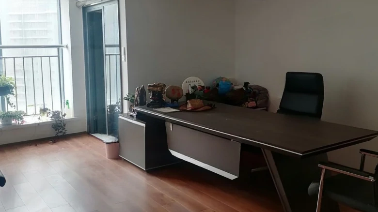 Zhonghui Plaza - View 1