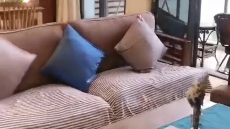 Runda Sanya Bay Beauty Fifth District - View 1