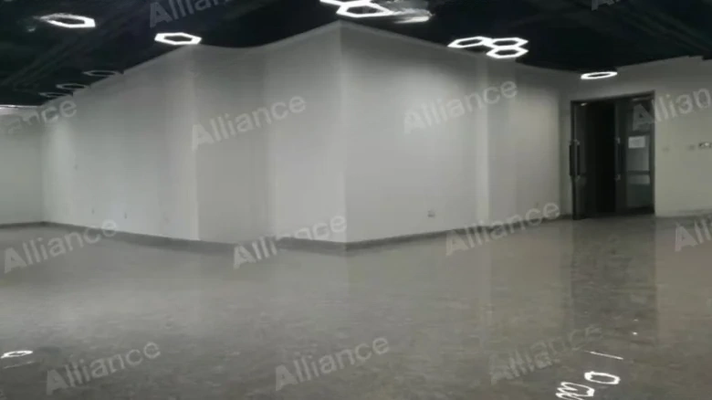 Zhaoshang Diamond Hill Ventures - View 1