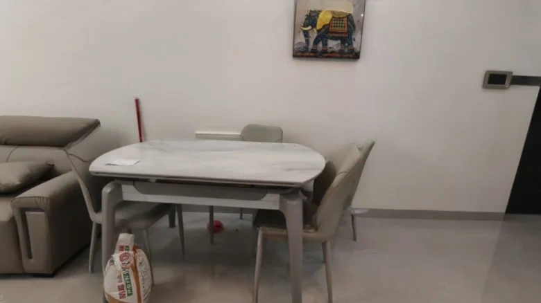 Tongxin Watermelon Mango Resettlement Area Phase I - View 4