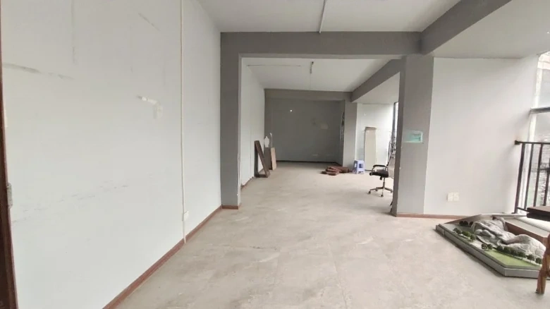 Fenghuang City (No. 17 Kangqiang Second Transverse Road) - View 15