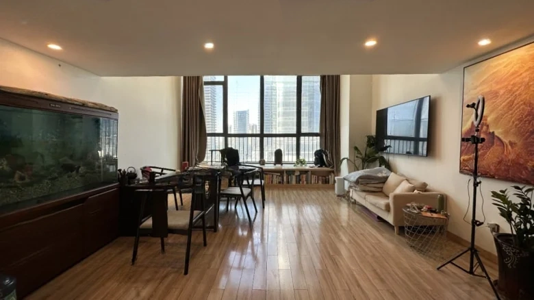 Wanke Metropolis - View 4