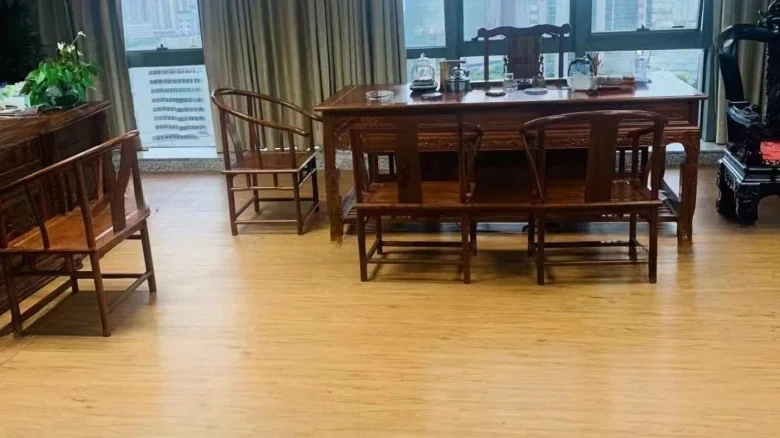 Silver Lion Plaza - View 3