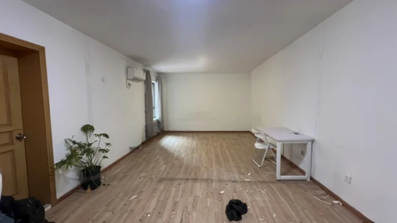 Metropolis Courthua Mansion - View 1