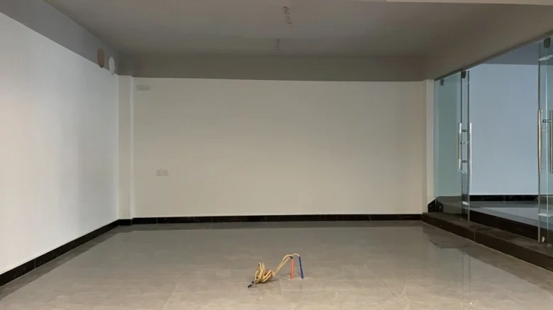 European Garden - View 1