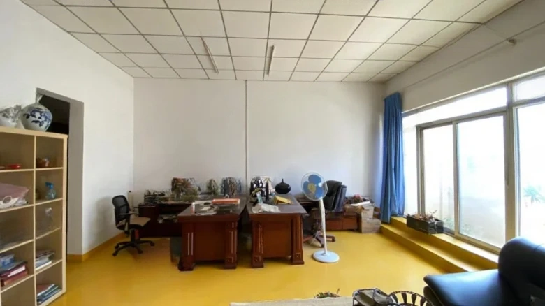 Silver Rich Garden - View 8