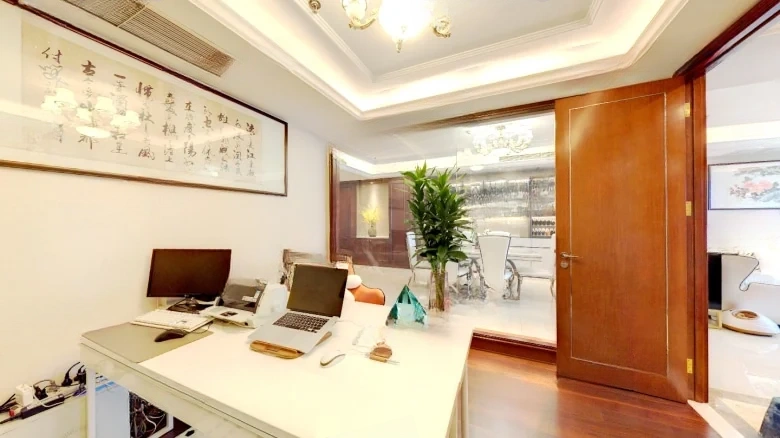 Victoria Mansion - View 5