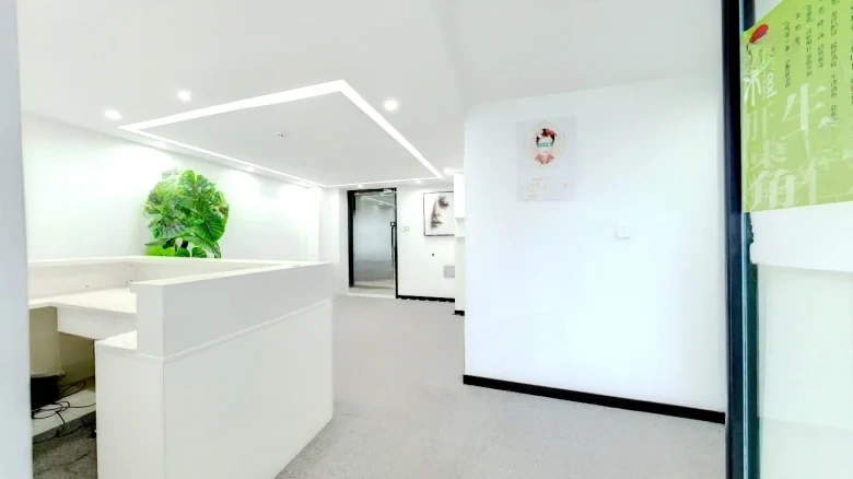 WFC Xinxin Center - View 1